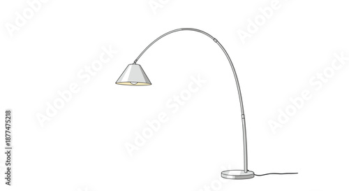 Elegant silver metallic floor lamp with a long arched neck and a simple cone-shaped shade on a white background.
