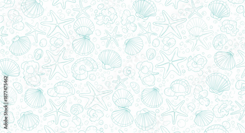 Light teal line art illustration of various seashells and starfish scattered across a white background for a coastal theme.