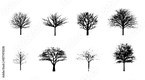 set of silhouettes of trees Winter tree silhouette set, bare deciduous and pine trees vector collection, leafless forest clipart, seasonal nature illustration
