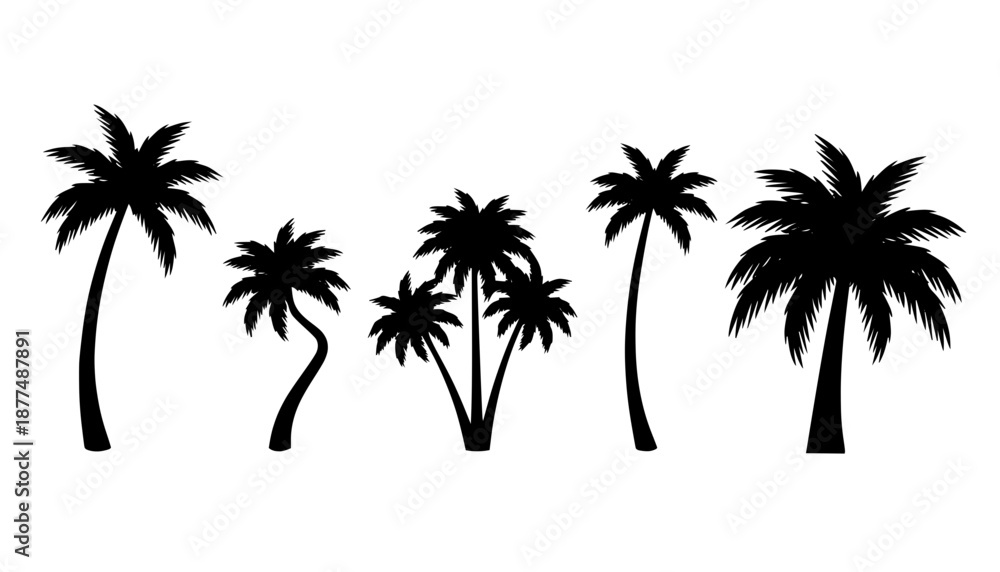 Fototapeta premium Tropical Palm Tree Silhouette Vector