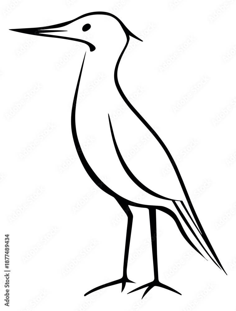 Obraz premium Hand drawn line art illustration of a bird depicting a standing profile for nature and animal themes