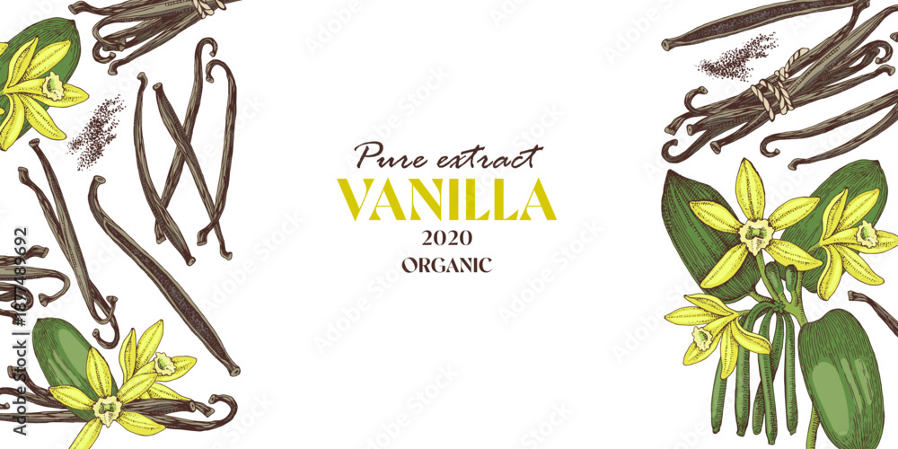 Obraz premium Vanilla vector horizontal banner template