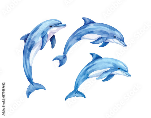 Watercolor painting of set Dolphin, isolated on a white background