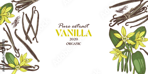 Vanilla vector horizontal banner template