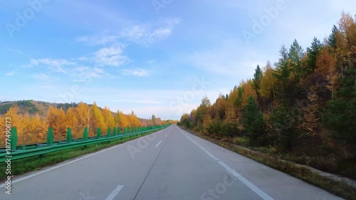 A forward-looking perspective of the autumn forest highway scenery in the Greater Khingan Mountains