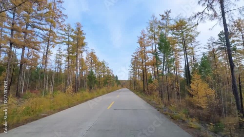 A forward-looking perspective of the autumn forest highway scenery in the Greater Khingan Mountains