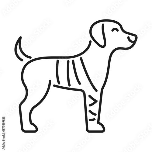 Pet Broken Bone Line Icon