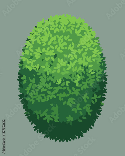 A perfectly shaped green deciduous shrub with lush foliage, showcasing dense, vibrant leaves and a shaded base, rendered in a stylized artistic illustration style against a neutral backdrop