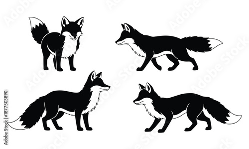 Black and white fox silhouettes in walking and standing poses on white background