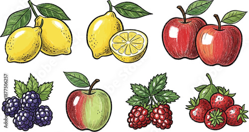 Hand drawn collection of colorful fruit illustrations featuring lemons apples blackberries raspberries and strawberries isolated on white background