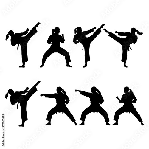 Karate Stance Training