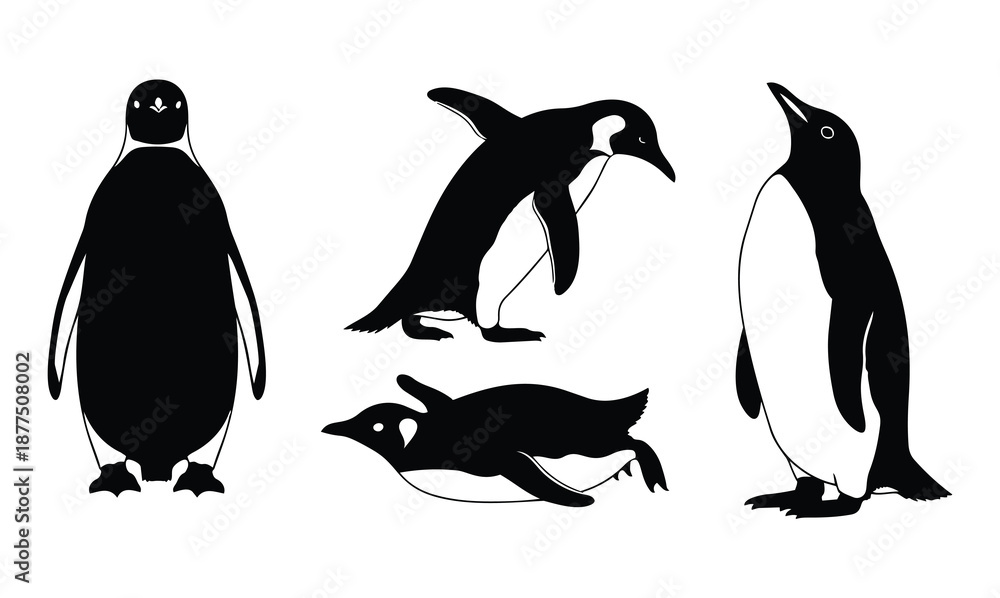 Obraz premium Stylized black and white penguin art in walking, sliding, resting, and expressive arctic bird poses