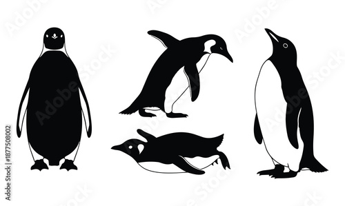 Stylized black and white penguin art in walking, sliding, resting, and expressive arctic bird poses