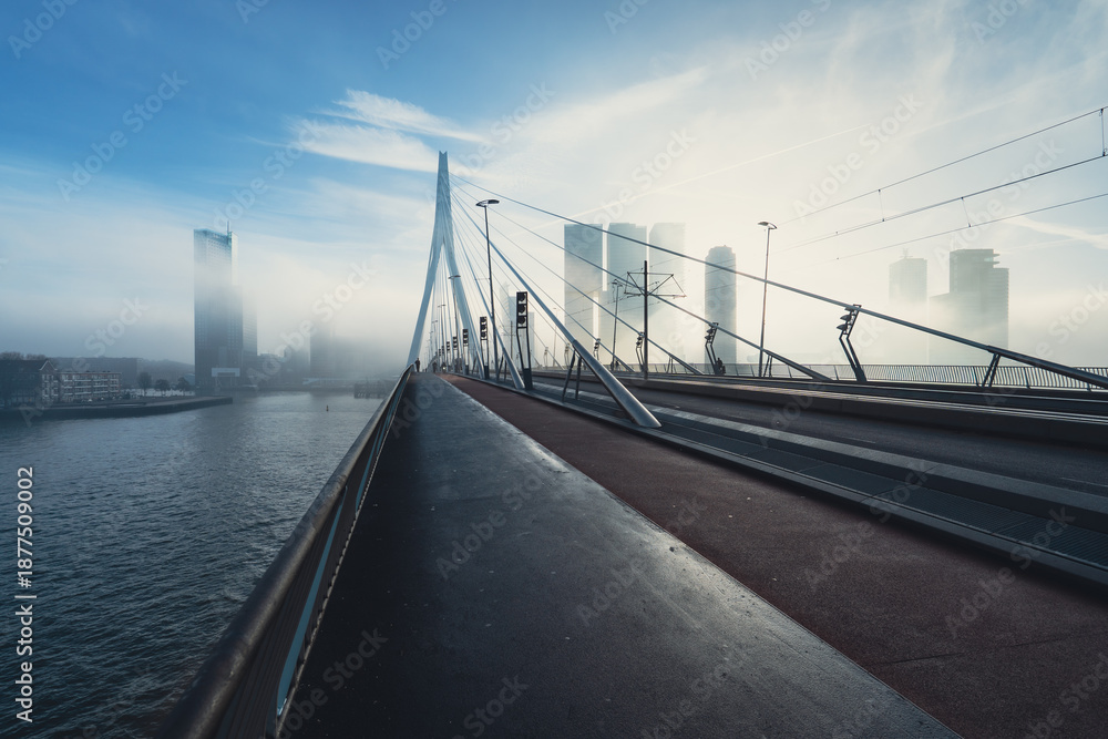 Obraz premium Erasmus Bridge in Rotterdam