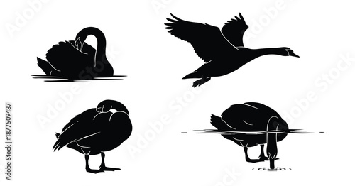 swan silhouette set featuring graceful poses on white background
