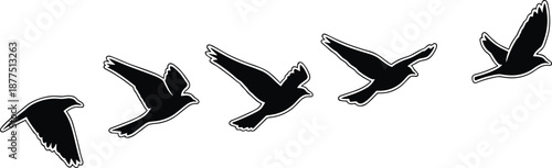 Five black silhouette birds in flight sequence on white background flying