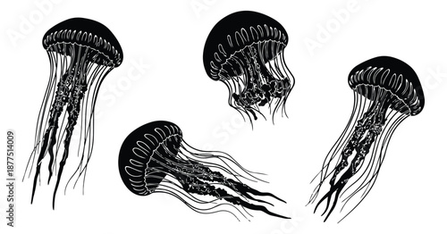 jellyfish silhouette set with long tentacles for marine nature art
