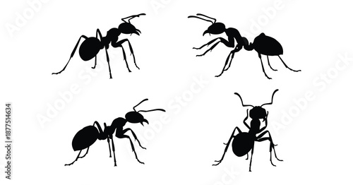 ant silhouette set featuring crawling and standing insects for nature art