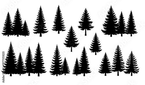 Minimalist black conifer tree silhouettes vector collection in modern flat style