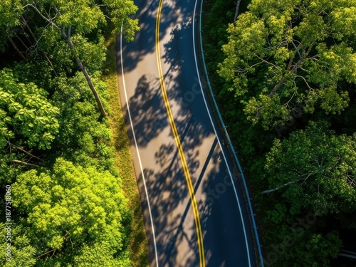 Top down aerial view of a forest road with dramatic tree shadows