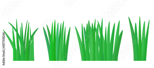 set of green grass