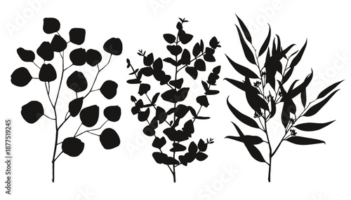 Eucalyptus branches silhouettes vector set