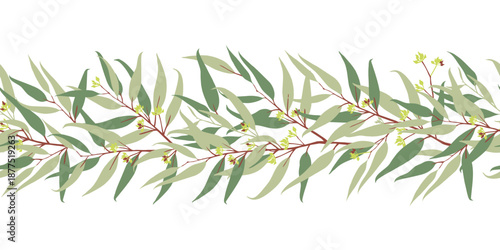 Eucalyptus horizontal seamless border vector