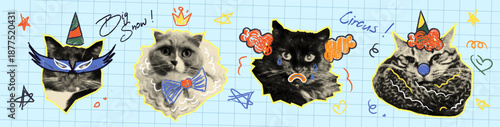 Funny halftone cats with doodle accessories on grid background. Vector realistic illustration of cute pet stickers, animals wearing birthday hat, circus clown nose and hair, royal crown, meme art