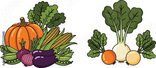 Autumn, vegetables, harvest, illustration, pumpkin, corn, eggplant, onion, turnip, beetroot, organic, fresh, healthy, food, farming, agriculture, vegan, vegetarian, vector, isolated