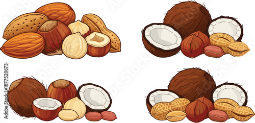 Mixed, nuts, coconut, illustration, almond, peanut, hazelnut, healthy, snack, food, organic, natural, protein, vegan, vegetarian, nutrition, vector, isolated, set, design
