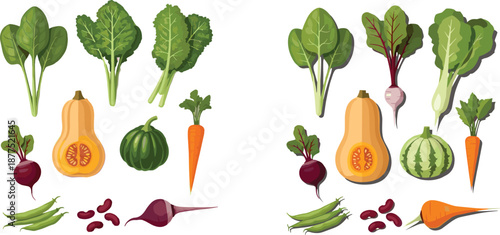 Fresh, vegetables, illustration, set, healthy, organic, food, greens, beetroot, carrot, pumpkin, beans, spinach, farm, harvest, vegan, nutrition, diet, flat, vector