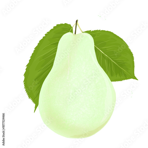 pear with leaves without background