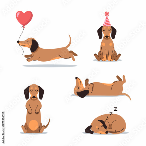 Cute dachshund dog set with party hat and balloon.