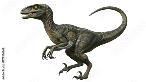 Foto Isolated Velociraptor dinosaur, prehistoric reptile with claws and curved tail,