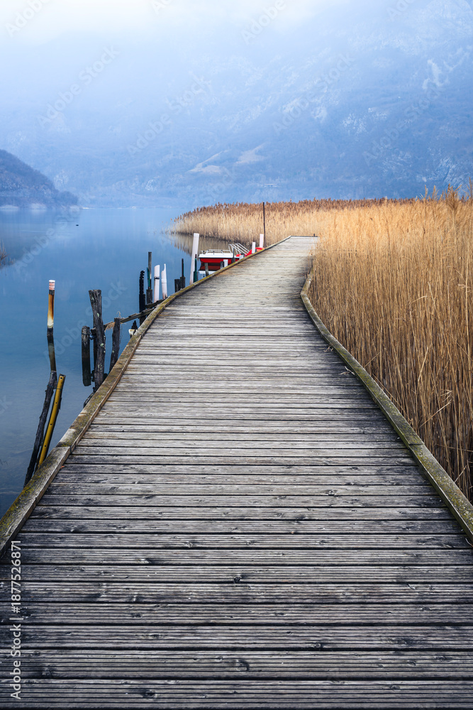 Fototapeta premium Nature and views of Lake Cavazzo in winter. Friuli.