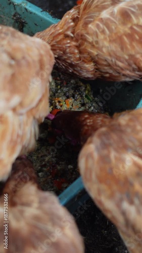 Organic waste such as food scraps and plant material, commonly reused for composting and sustainable waste management.