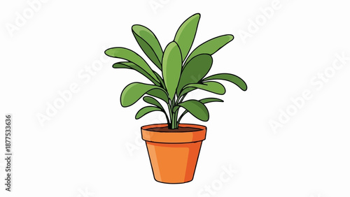 A green plant with large, oval leaves sits in a simple orange pot filled with soil