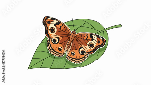 A detailed illustration of a brown butterfly with eye-spot patterns rests on a vibrant green leaf