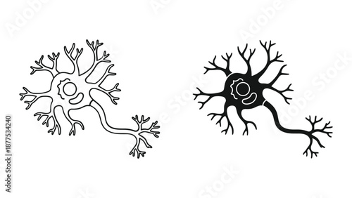 Neuron Structure Illustration - Detailed Vector Graphics