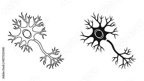 Neuron Structure Illustration - Dendrites and Axon