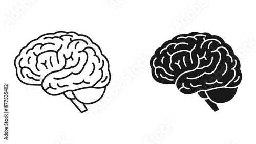 Brain Illustration Vector Graphics