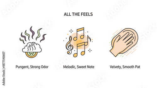 Graphic representation of various sensory experiences.