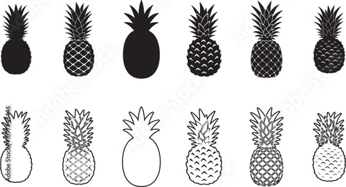 Variety of pineapple illustrations in different styles and patterns