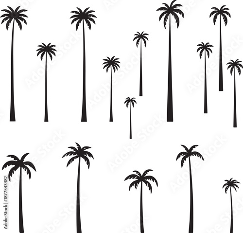 palm trees silhouette, palm tree silhouettes, palm trees silhouettes, palm, tree, 