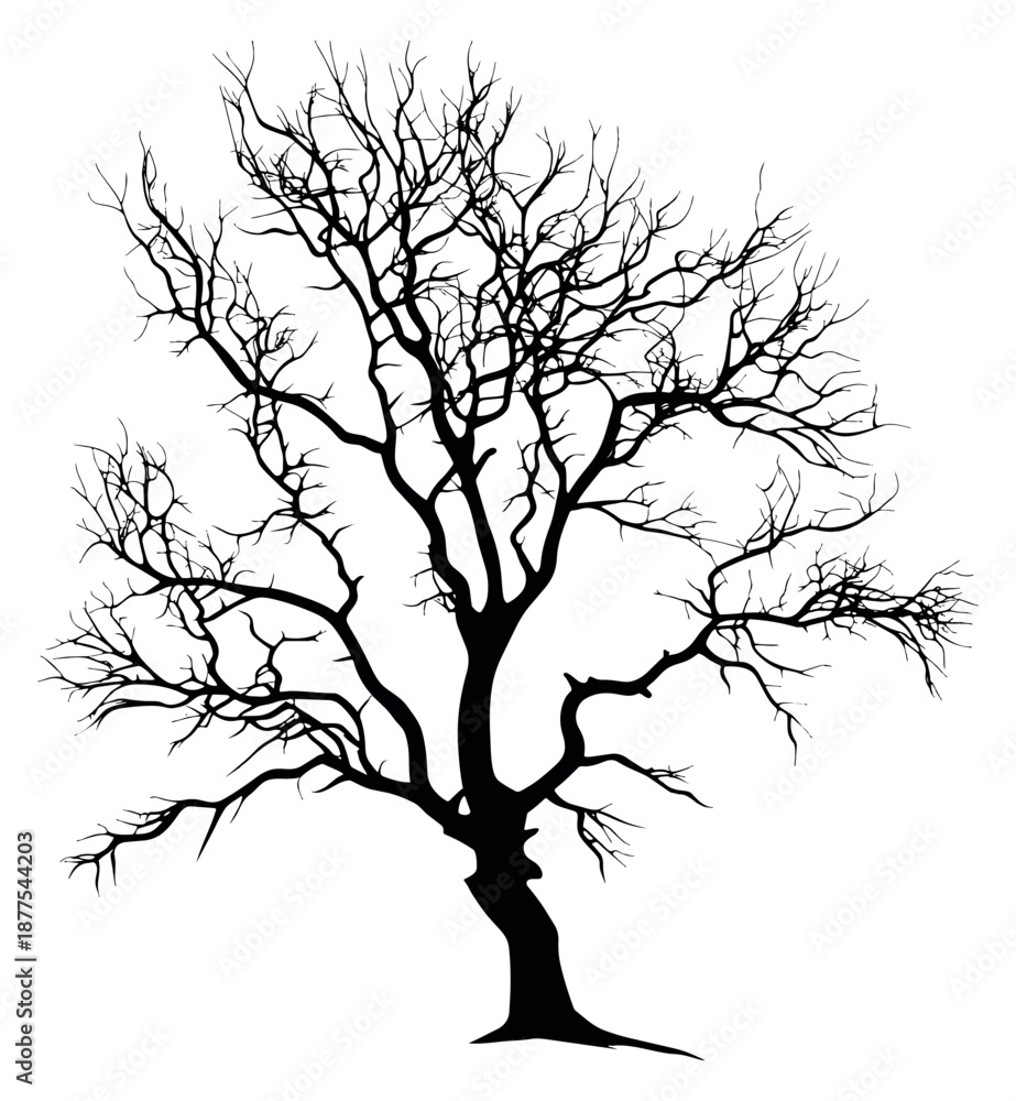 Fototapeta premium Silhouette illustration of a bare tree depicting intricate leafless branches for seasonal and nature designs