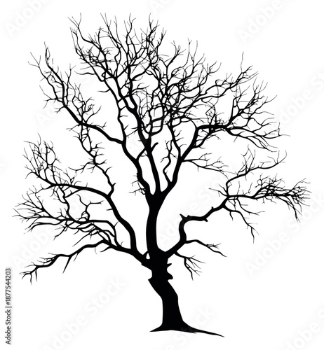 Silhouette illustration of a bare tree depicting intricate leafless branches for seasonal and nature designs