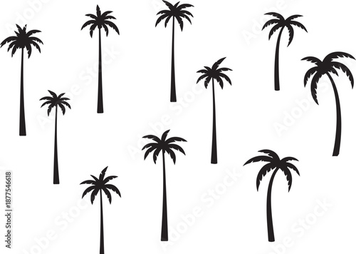 palm trees silhouette, palm tree silhouettes, palm trees silhouettes, palm, tree, 