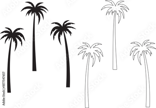 palm trees silhouette, palm tree silhouettes, palm trees silhouettes, palm, tree, 