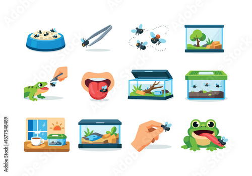 FlyFeeding Pet Icons. FlyFeeding Pets. Colorful flat vector icons set of FlyFeeding Pets: pet bowl with flies, feeding tweezers, flying insects, pet terrarium,