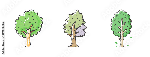 Collection of three stylized birch trees with green foliage and brown trunks.